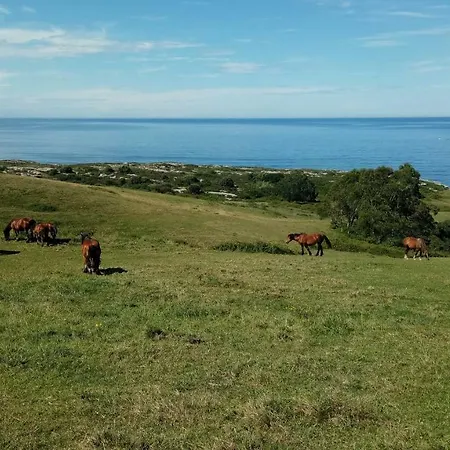 Punta Linera Πανσιόν *