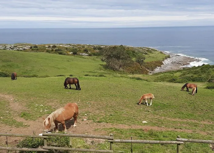 Pensión Punta Liñera San Vicente De La Barquera