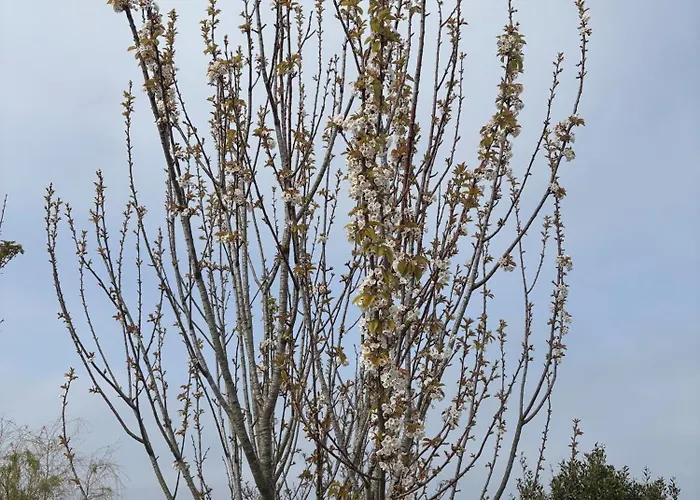 角线酒店 招待所 *