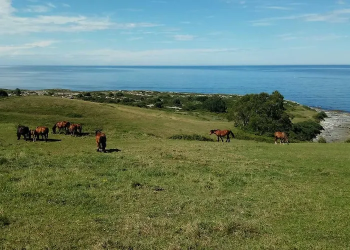 Punta Linera Maison d'hôtes *